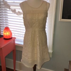 Cream Lace Fit & Flare Dress